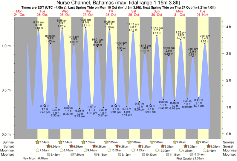 Bimini Tide Chart