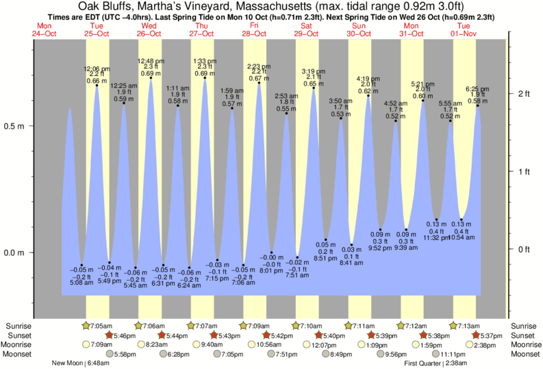 Mv Times Tide Chart