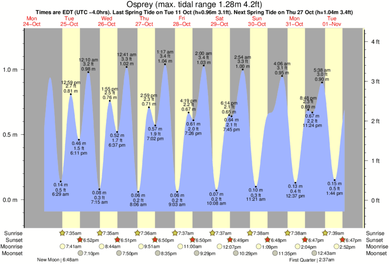 Delaware Beach Tide Chart