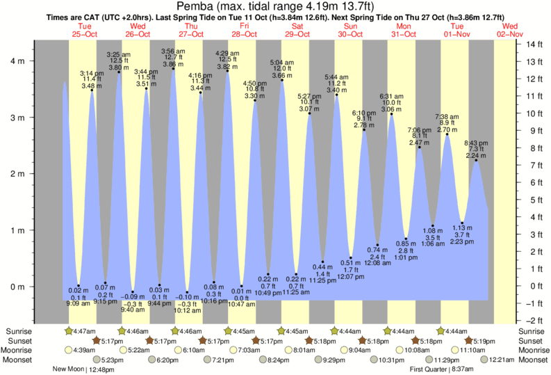 Amelia Island Tide Chart