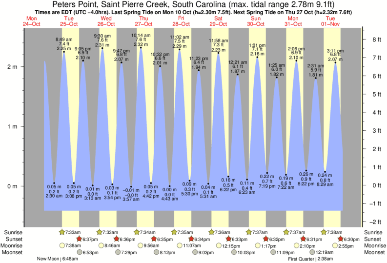 Elliott Bay Tide Charts