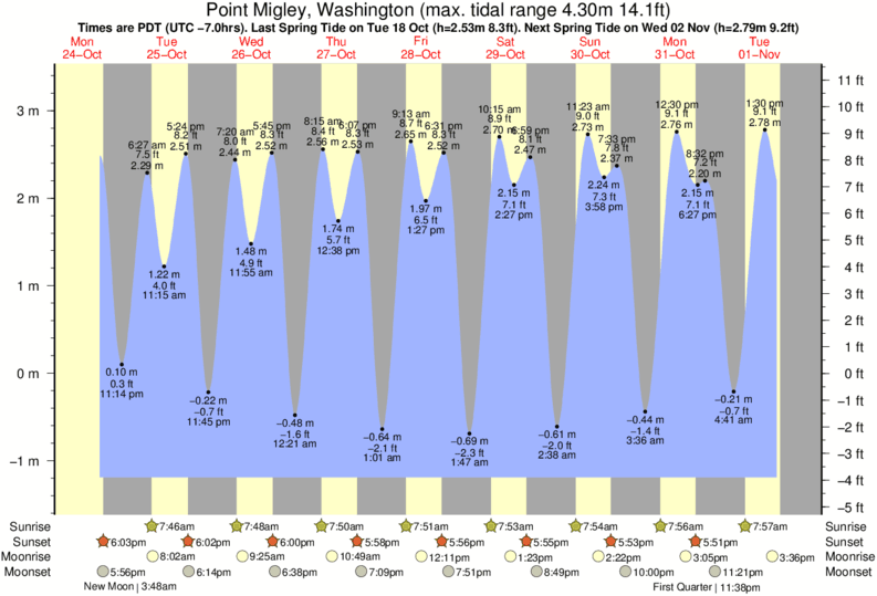 Mukilteo Tide Chart