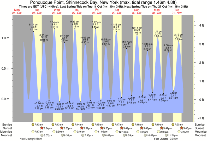 Shinnecock Bay Chart