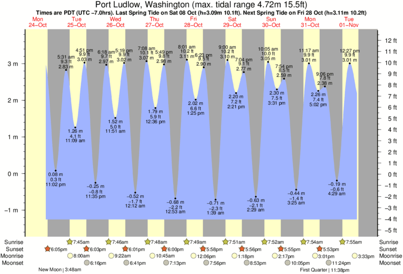 Hood Canal Tide Chart