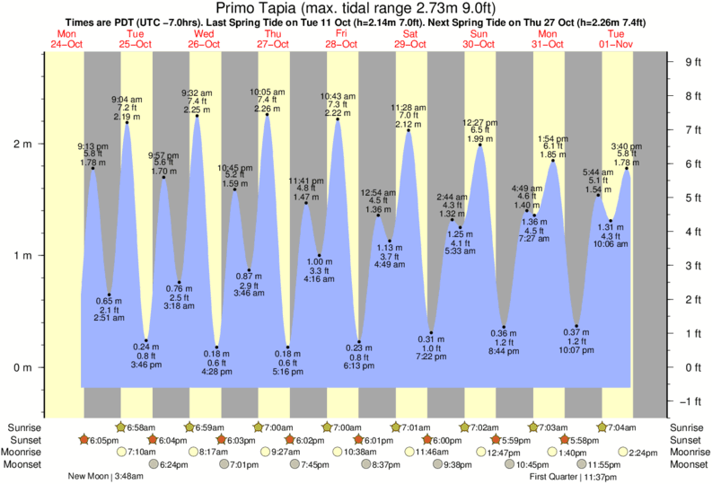 Baja Tide Chart