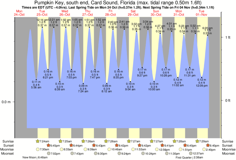 Tide Chart Skyway Fishing Pier