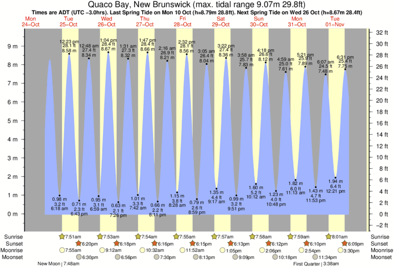 Hopewell Cape Tide Chart