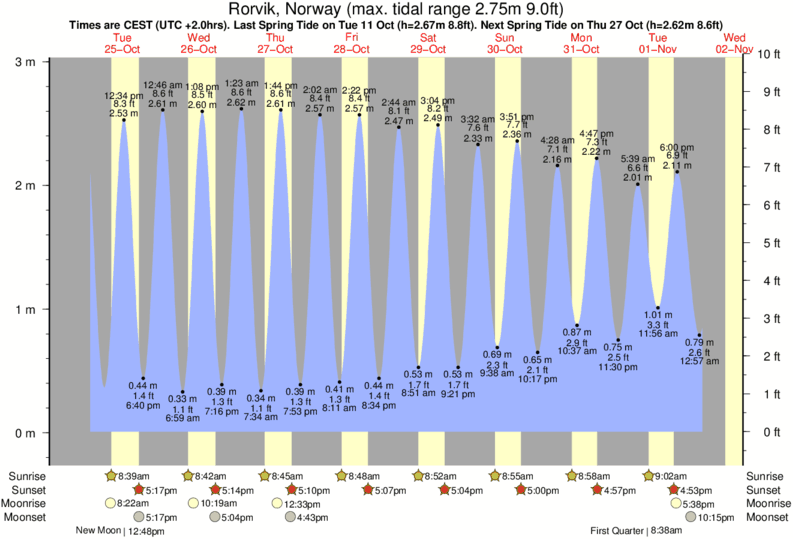 Belize Tide Chart