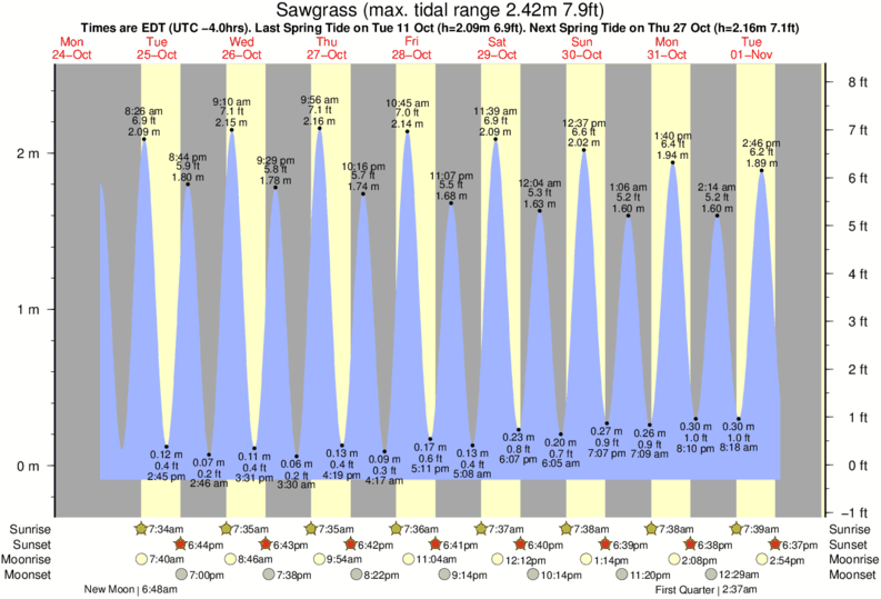 Skidaway Island Tide Chart