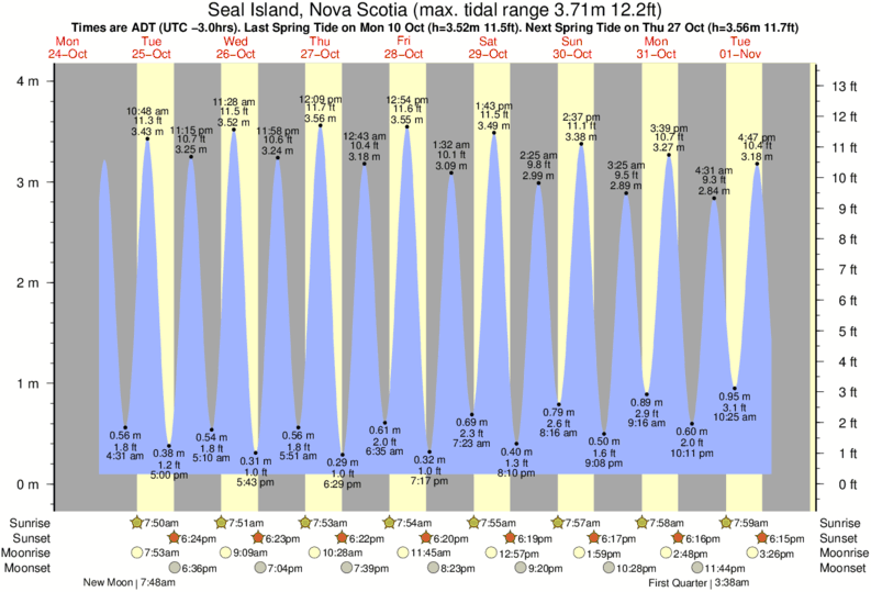 Delta Tide Chart