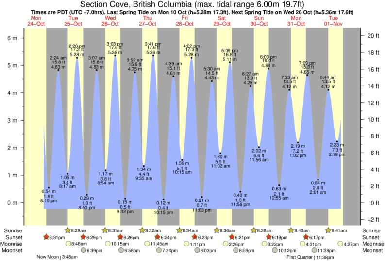 Comox Tide Chart