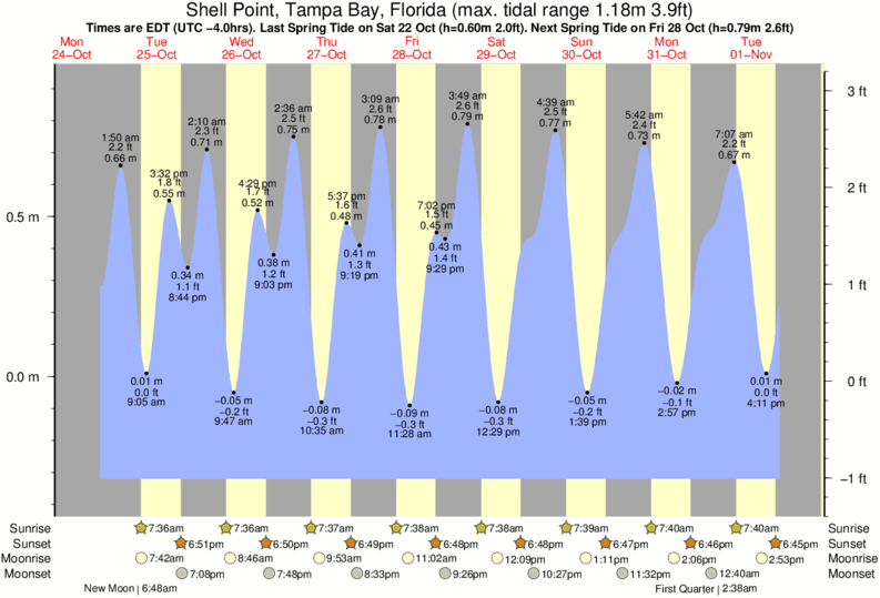 Gandy Tide Chart