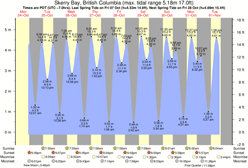 Port Mcneill Tide Chart