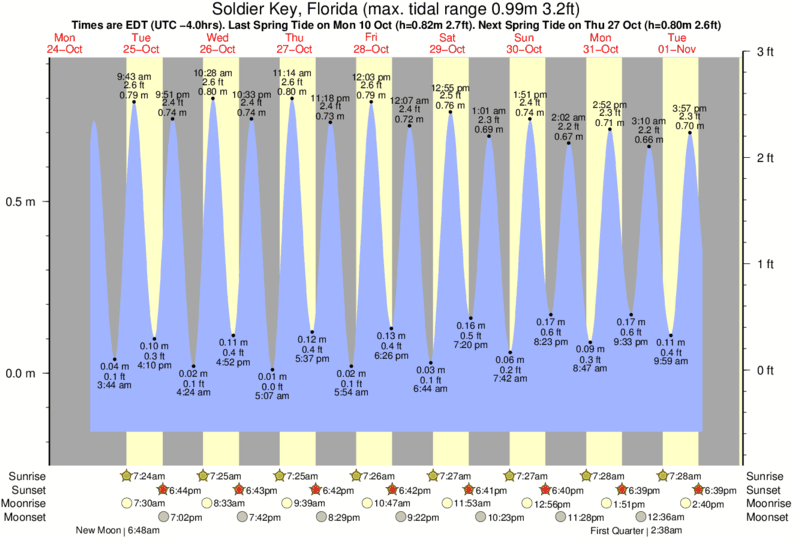 Palm Valley Tide Chart