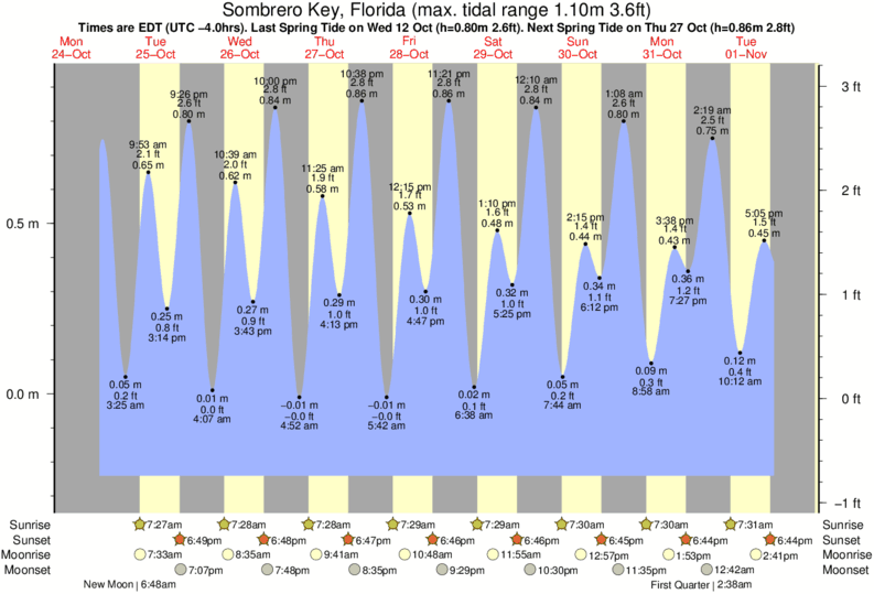 Horseshoe Beach Tide Chart