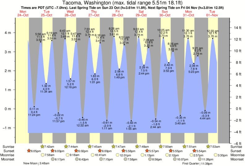 Tacoma Tide Chart