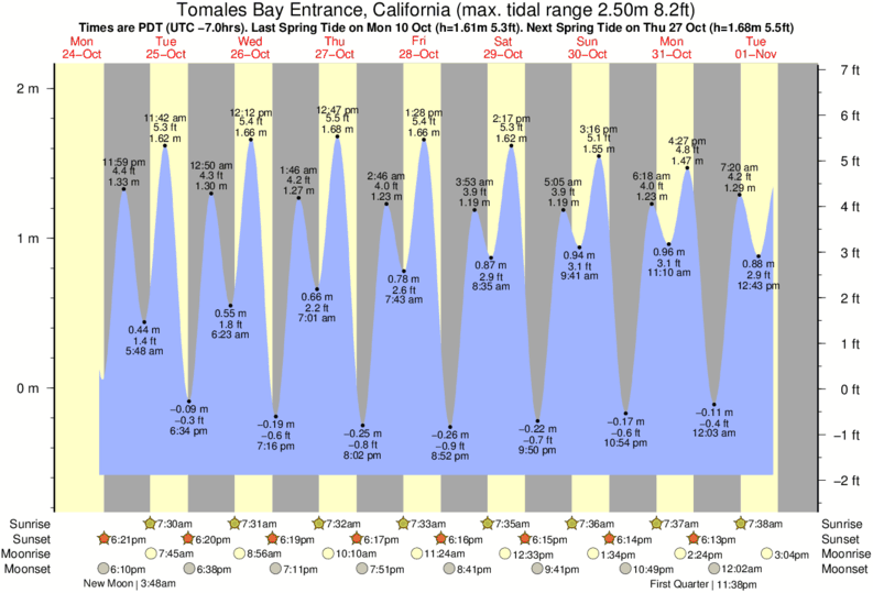 Bodega Bay Tide Chart