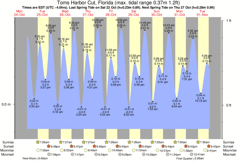 Palm Coast Marina Tide Chart