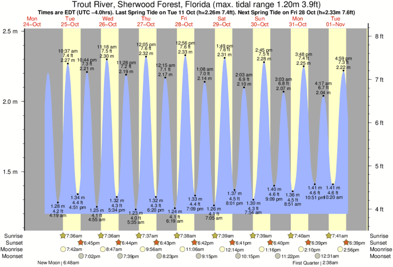 South Shore Long Island Tide Chart