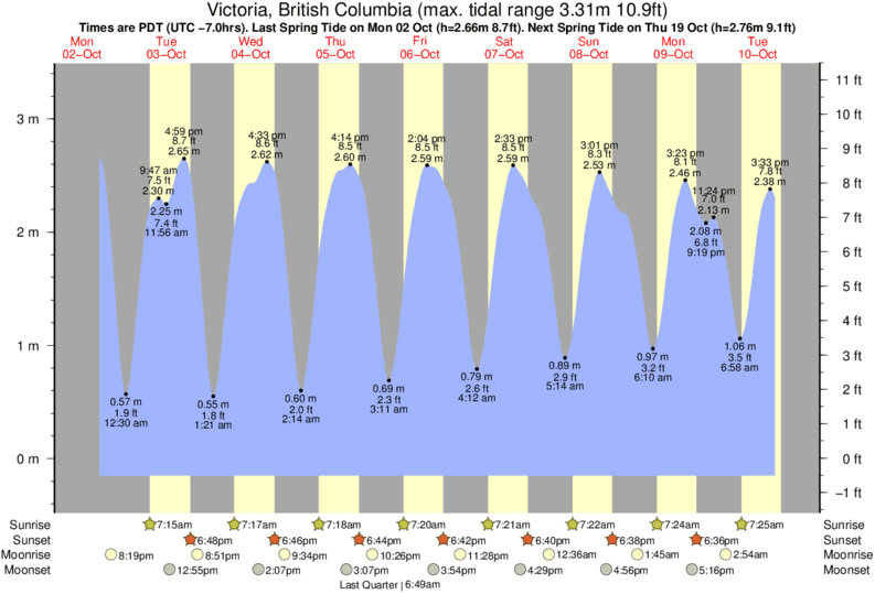 Melbourne Tide Chart