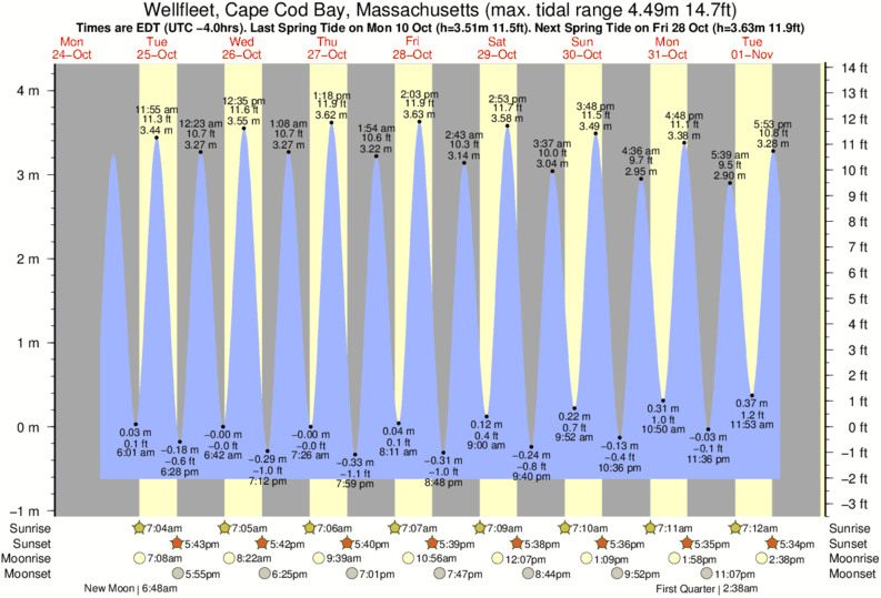 Wellfleet Harbor Chart