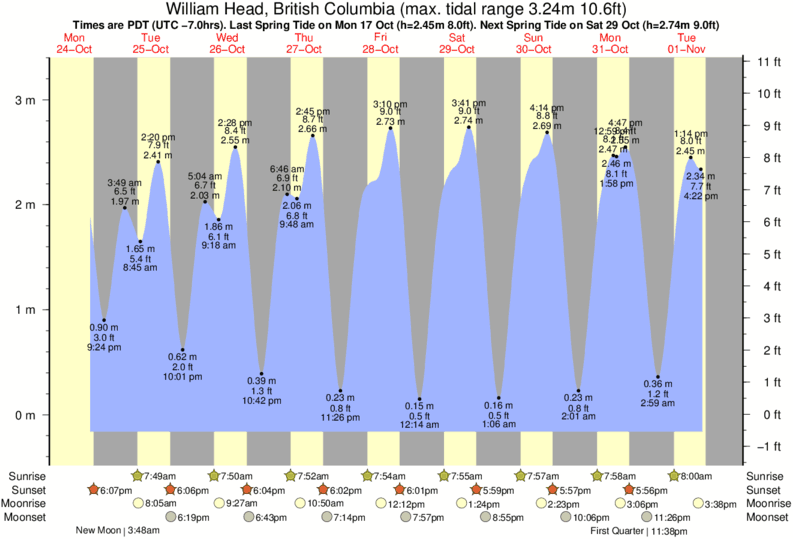 Tsawwassen Tide Chart Boundary Bay