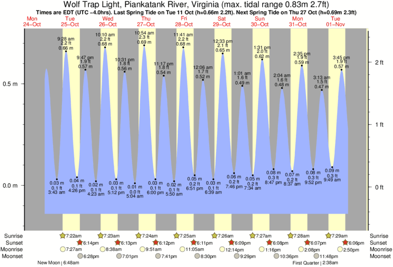 Hopewell Rocks Tide Chart