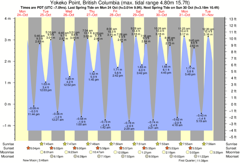 Tulalip Tide Chart